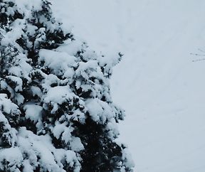 Processed with VSCO with m5 preset