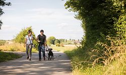 Lokales, Serie Ferien Zuhause 6: Feldwee Bettemburg/Abweiler, Spaziergang mit Hund, Foto: Lex Kleren/Luxemburger Wort