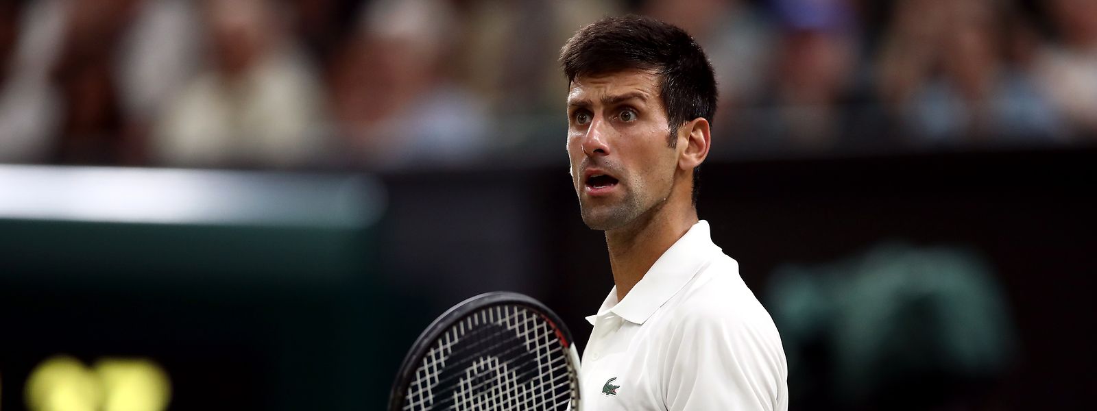 Novak Djokovic zeigt sich nach dem Gerichtsurteil "extrem enttäuscht".