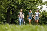 Group of female friends hiking in nature.They walking trough forest and joying in fresh air.	
