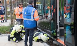 Es wird kontrolliert, ob der Verletzte ansprechbar ist.  