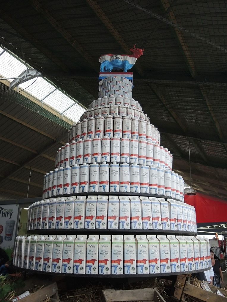 Die "Foire agricole" wusste den Regen am Samstag bereits mit einem abwechslungsreichen Show-Programm zur Nebensache werden zu lassen.