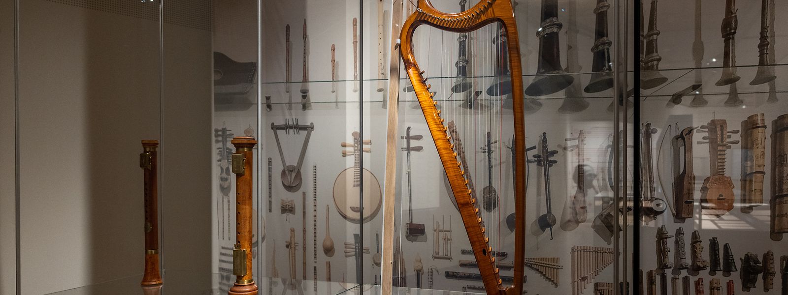 Une exposition pour découvrir les innombrables champs d'activités du musicien.