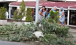 Die Aufräumarbeiten sind in vollem Gang. 