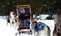 Blick zurück: In der sitzenden Position geht es – natürlich mit schützender Sonnenbrille –für die Gäste auf den Schlitten voran. 