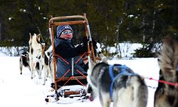Blick zurück: In der sitzenden Position geht es – natürlich mit schützender Sonnenbrille –für die Gäste auf den Schlitten voran. 