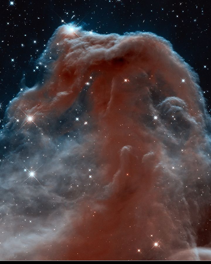 Wie eine Vision scheint der ikonische Pferdekopf-Nebel aus interstellarem Schaum emporzusteigen.