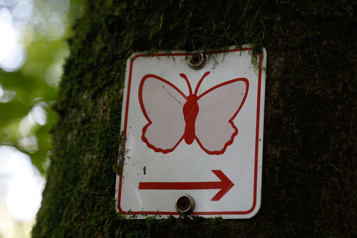 The 8.6km red butterfly education trail through the Haard reserve 