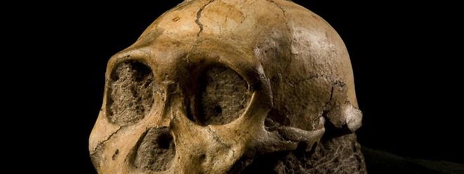 Homo sapiens soll rund 100.000 Jahre früher gelebt haben, als bisher angenommen wurde.