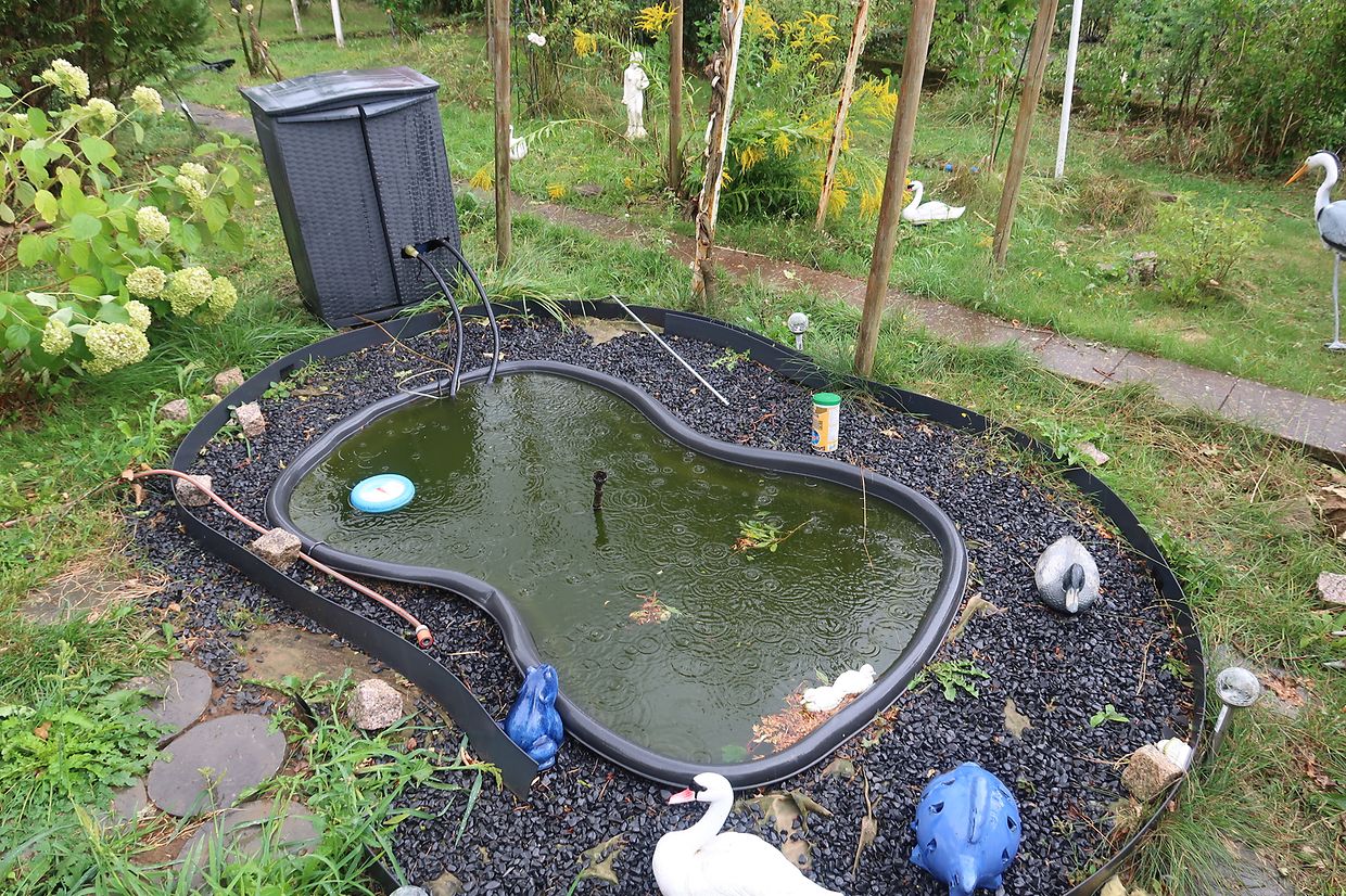 Im Teich im Garten von Jean-Pierre Stors waren vor dem Tornado Goldfische. Jetzt ist er leer.