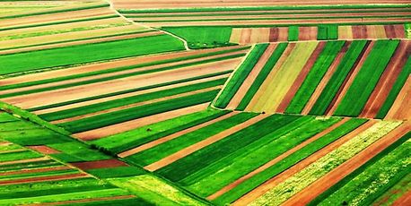 First green EU bond to spur 'absolute riot' of investor demand - Vimarsana News