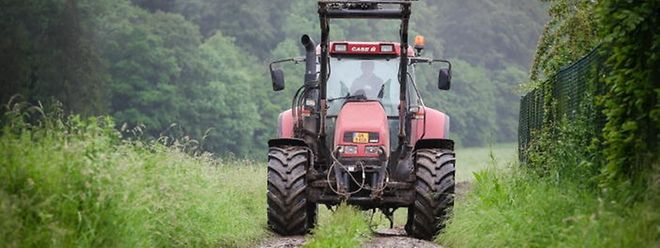 2016 entpuppt sich als sehr schwieriges Jahr für die Bauern, Winzer und Gärtner. 