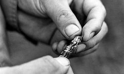 Von insgesamt 125 im Zusammenhang mit den Bombenattentaten sichergestellten materiellen Spuren fehlen heute 86.