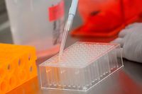 (FILES) In this file photo  Dr. Rhonda Flores looks at protein samples at Novavax labs in Rockville, Maryland on March 20, 2020, one of the labs developing a vaccine for the coronavirus, COVID-19. - The US Federal Bureau of Investigation and cybersecurity experts believe Chinese hackers are trying to steal research on developing a vaccine against coronavirus, two newspapers reported on May 11, 2020. The FBI and Department of Homeland Security are planning to release a warning about the Chinese hacking as governments and private firms race to develop a vaccine for COVID-19, the Wall Street Journal and New York Times reported. (Photo by ANDREW CABALLERO-REYNOLDS / AFP)