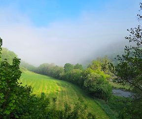 Moiesniwwel am Sauerdall