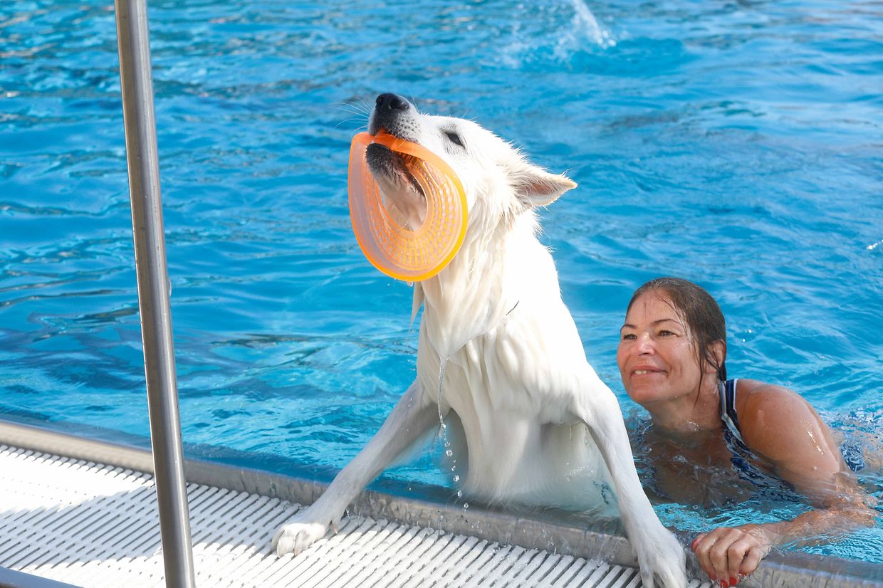 Lokales, Aqua Park, Schwimmbad, Hundeschwimmen, Badespass Foto: Luxemburger Wort/Anouk Antony