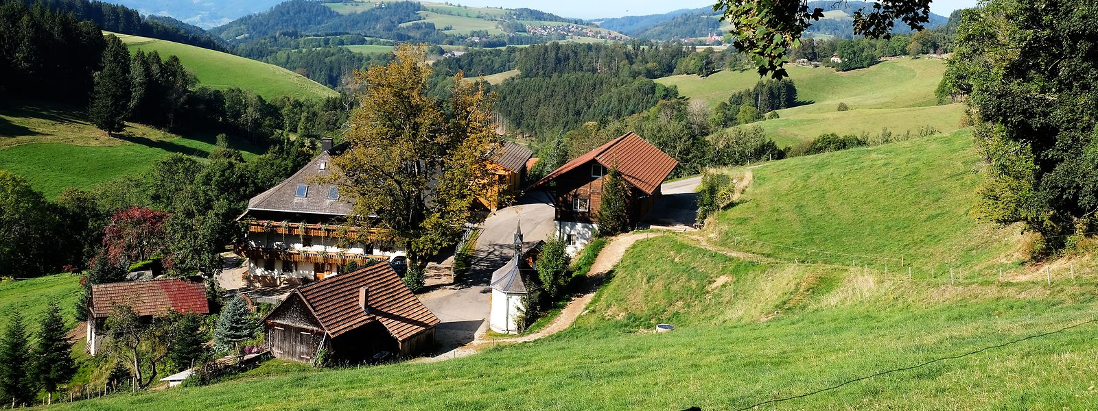Der Hochschwarzwald bei St. Märgen: Die Region punktet mit ihrer Landschaft und ihrer Natur.