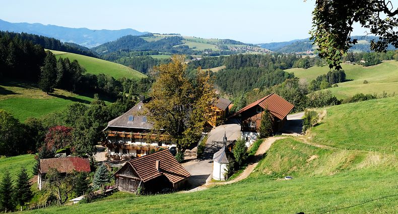 Der Hochschwarzwald bei St. Märgen: Die Region punktet mit ihrer Landschaft und ihrer Natur.