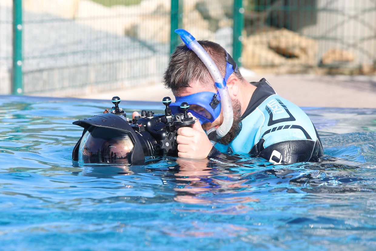 Lokales, Aqua Park, Schwimmbad, Hundeschwimmen, Badespass Foto: Luxemburger Wort/Anouk Antony