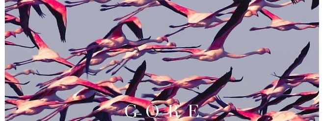 Frühlingshaft - das Cover des neuen Deftones-Albums "Gore".