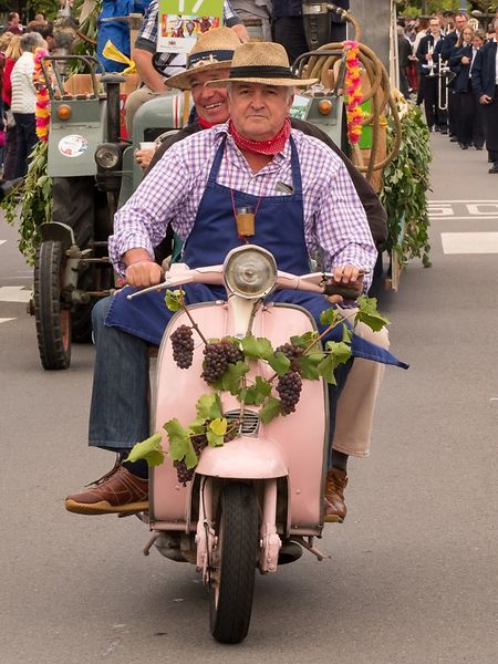 Riesling Open takes place 13-15 September Photo: LW archive