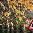 A sign warns motorists to be aware of elderly people crossing a road in London, in this November 29, 2005 file picture. The pensions industry and the government says younger generations are setting themselves up for a retirement spent in poverty, a contrast to those retiring now flush from final salary pension schemes and the proceeds of a housing boom. Official figures show less than half of all UK employees were saving into a workplace pension scheme in 2011, with young people seen among the most reluctant savers. "This is storing up massive socio-economic problems for the future," said Malcolm McLean, a consultant at Barnett Waddingham, one of Britain's largest independent firms of actuaries, administrators and consultants. He and others predict years of "inter-generational strife": a cycle of parents who come to rely on their offspring to provide for them in retirement, hurting that generation's capacity to save for their old age, and so forcing the next generation of children to support them in turn. Picture taken November 29, 2005.  To match Insight BRITAIN-PENSIONS      REUTERS/Toby Melville/Files (BRITAIN  - Tags: BUSINESS HEALTH SOCIETY)