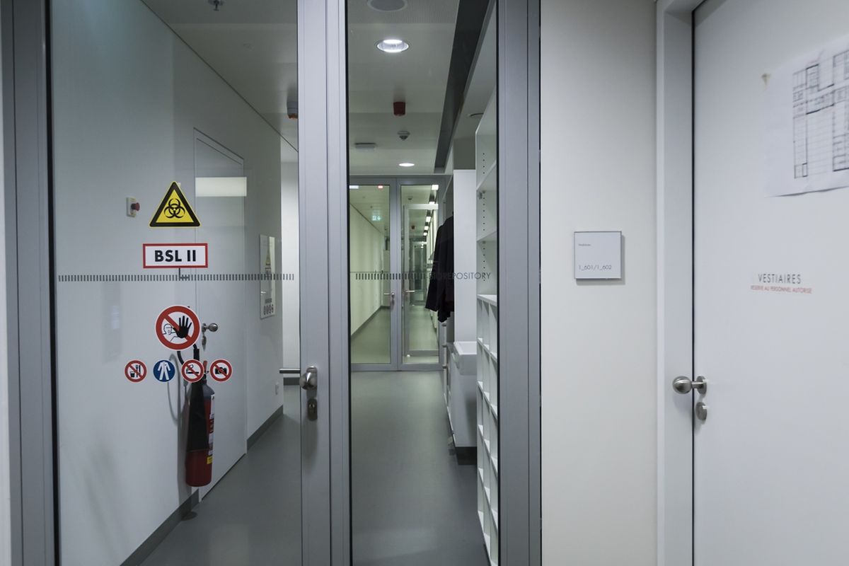 Nationales Gesundheitslaboratorium, Tiermedizinisches Laboratorium und Biobank an neuer Adresse in Düdelingen