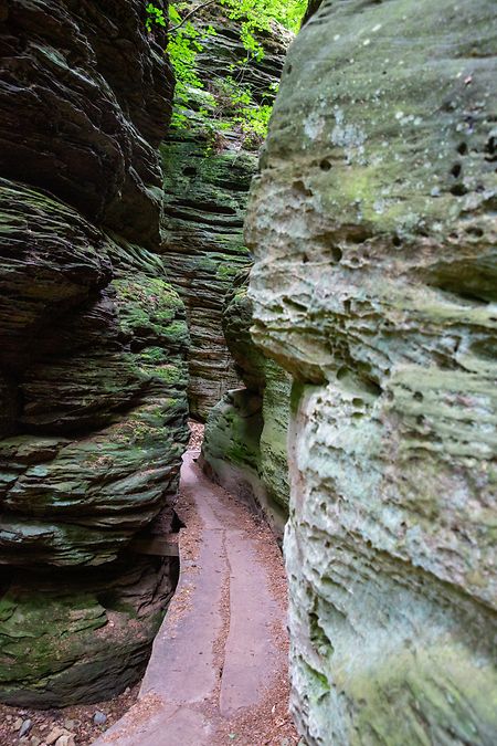 It's time to (re)visit the quirky rock formations of the Mullerthal