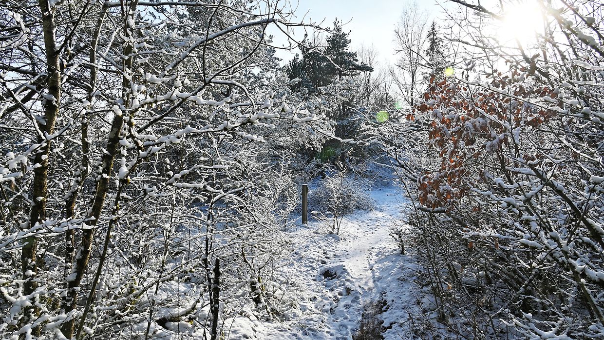 Single photo enhanced with easyHDR 3.16: 623_0401.JPG