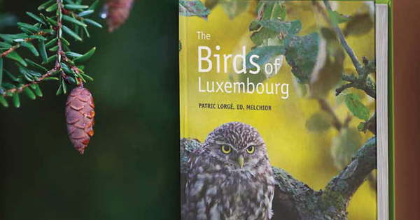 mywort - Presenting: The Birds of Luxembourg - Vimarsana News