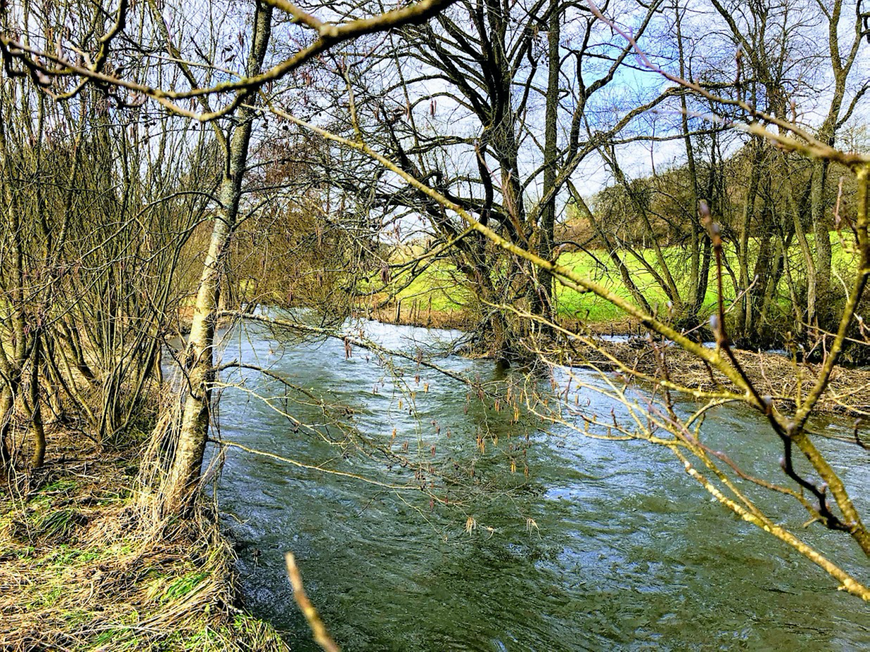 mywort - Das Bächlein Wiltz (ruisseau de Bastogne) ist noch immer reissend  schnell