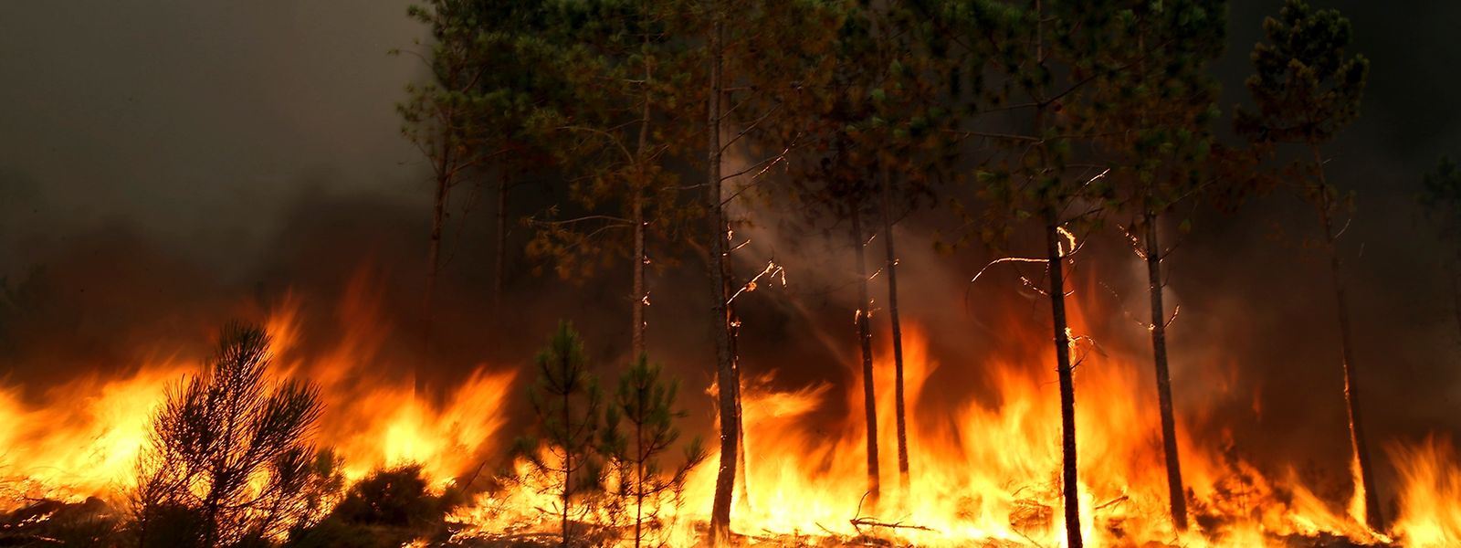 Um incêndio lavra numa encosta perto da aldeia de Regufe em Arouca