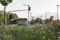 Marc Theis se dit particulièrement impressionné par la transition effrénée d'un environnement urbain à un environnement rural.