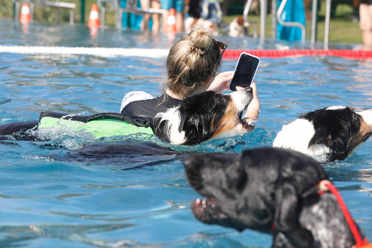 Lokales, Aqua Park, Schwimmbad, Hundeschwimmen, Badespass Foto: Luxemburger Wort/Anouk Antony