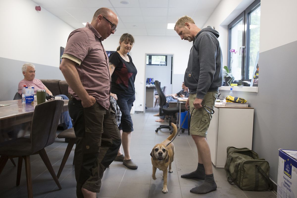 Rettungseinsatz in Müllerthal.