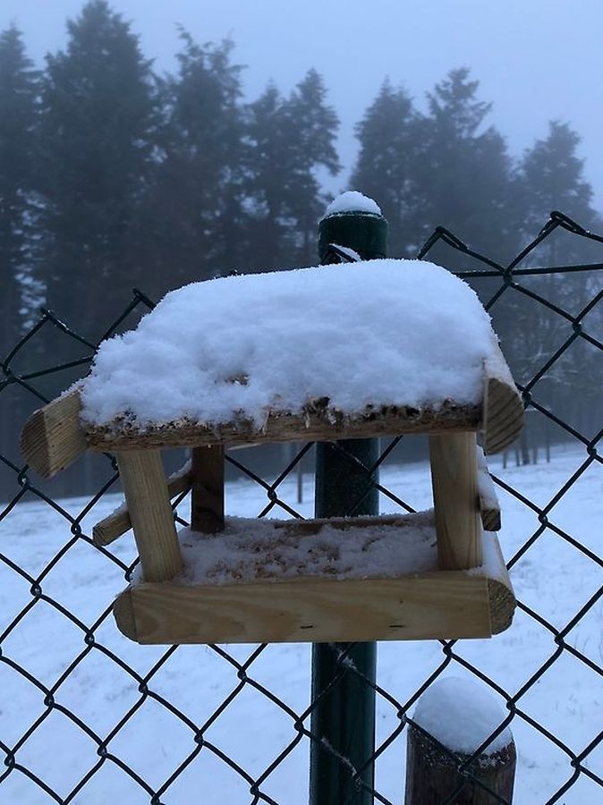 In Clerf wird heute an die Vögel gedacht. 