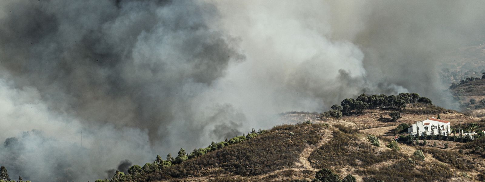 Incendio No Algarve Obrigou A Retirar De Casa 81 Pessoas E A Evacuar Canil