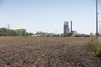 Auf diesem Gelände in der nationalen Aktivitätszone Wolser 1 möchte der griechische Joghurthersteller bis zu 80.000 Tonnen Joghurt im Jahr herstellen.