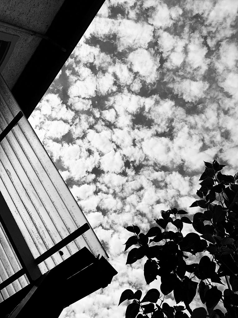 Processed with Blackie