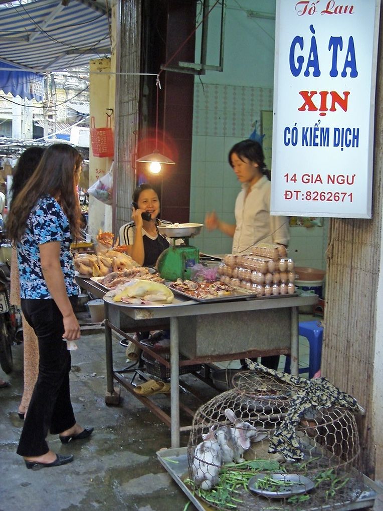 SAMSUNG DIGITAL CAMERA