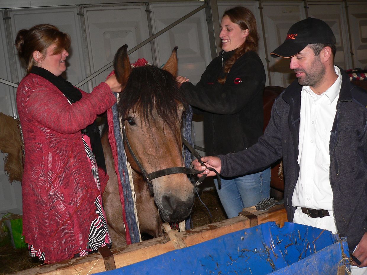 Die "Foire agricole" wusste den Regen am Samstag bereits mit einem abwechslungsreichen Show-Programm zur Nebensache werden zu lassen.