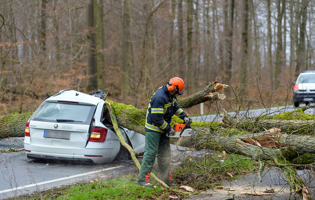 Niedersachsen, Bad Bevensen: Ein durch den Sturm umgestürzter Baum liegt auf einem Auto. Der 37-jährige Fahrer wurde dabei tödlich verletzt. 