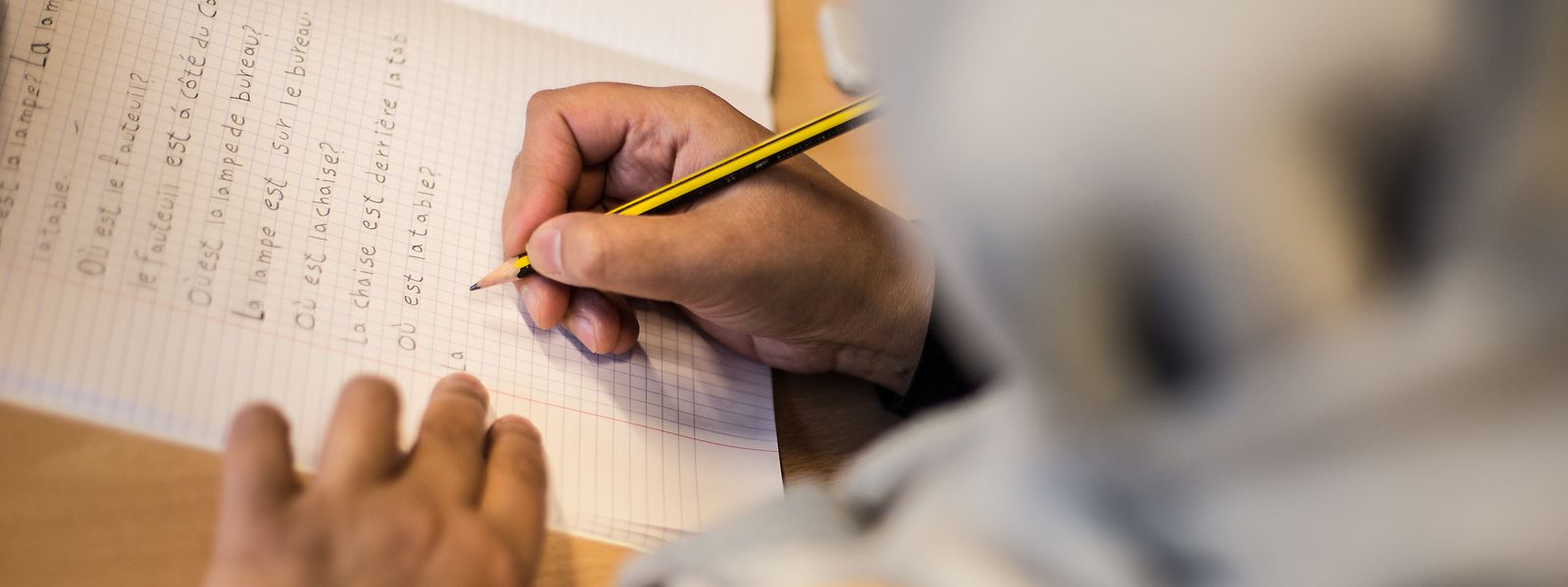 Parmi les difficultés rencontrées par les bénéficiaires de protection internationale figure la maîtrise des langues exigées dans les entreprises.