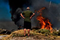 Um popular observa o Incêndio em Celorico da Beira, Guarda, que sábado assustou as populações.