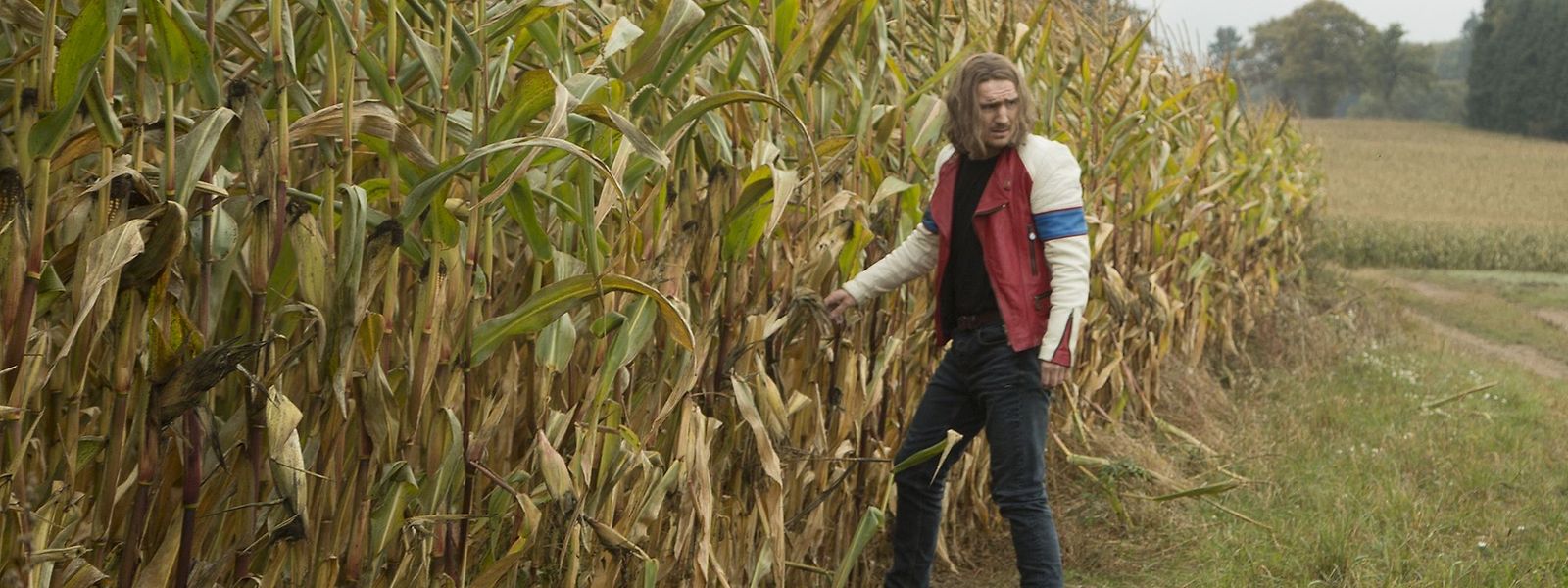 Vou fugir para este campo de milho que estes luxemburgueses estão loucos! 