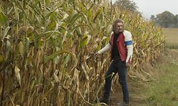 Vou fugir para este campo de milho que estes luxemburgueses estão loucos! 