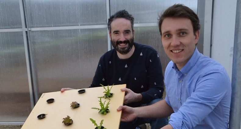 Daryl Fuchs (vorne) und Manuel Arrillaga züchten Gemüse per Aquakultur. / Foto: Frank WEYRICH