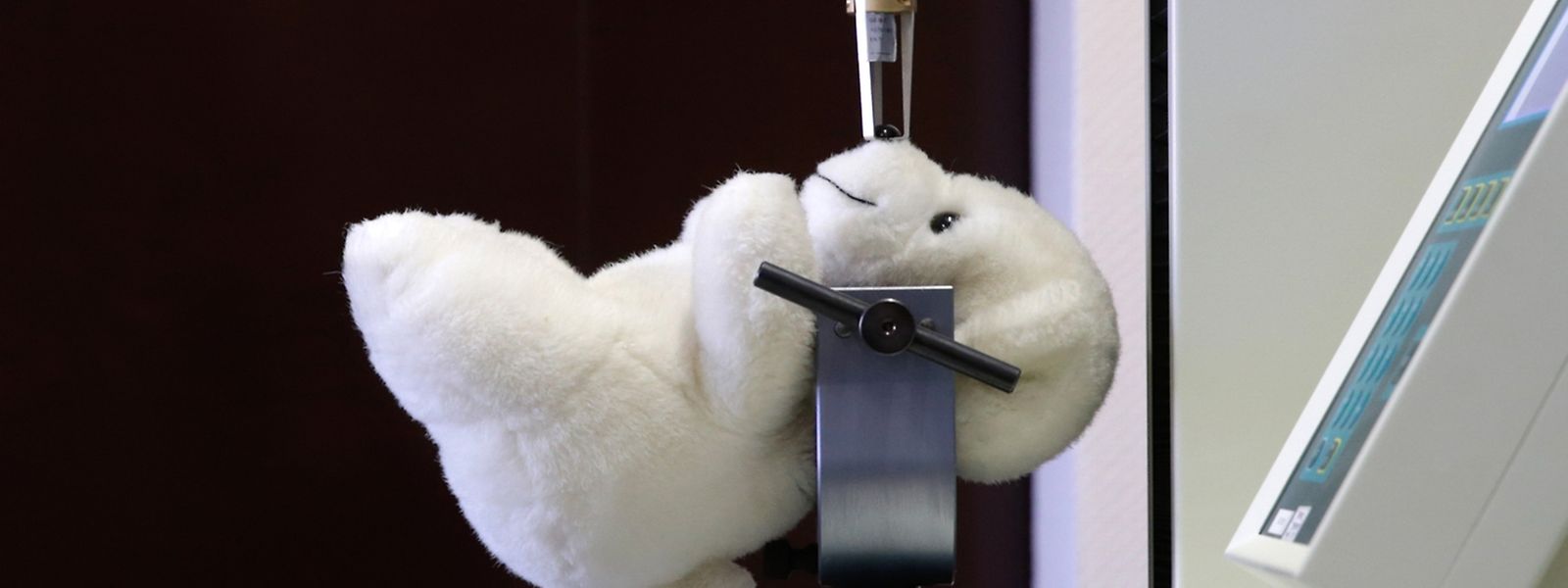 Im Labor muss der Teddy beweisen, dass Kuscheln nicht gefährlich ist.