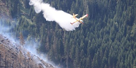 Record temperatures, wildfires wreak havoc on Europe's winemakers - Vimarsana News