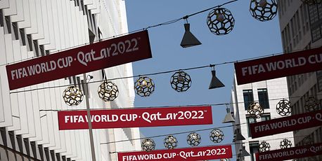 Where to watch the World Cup with a beer - Vimarsana News